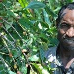 Harar-Coffee-Farmer
